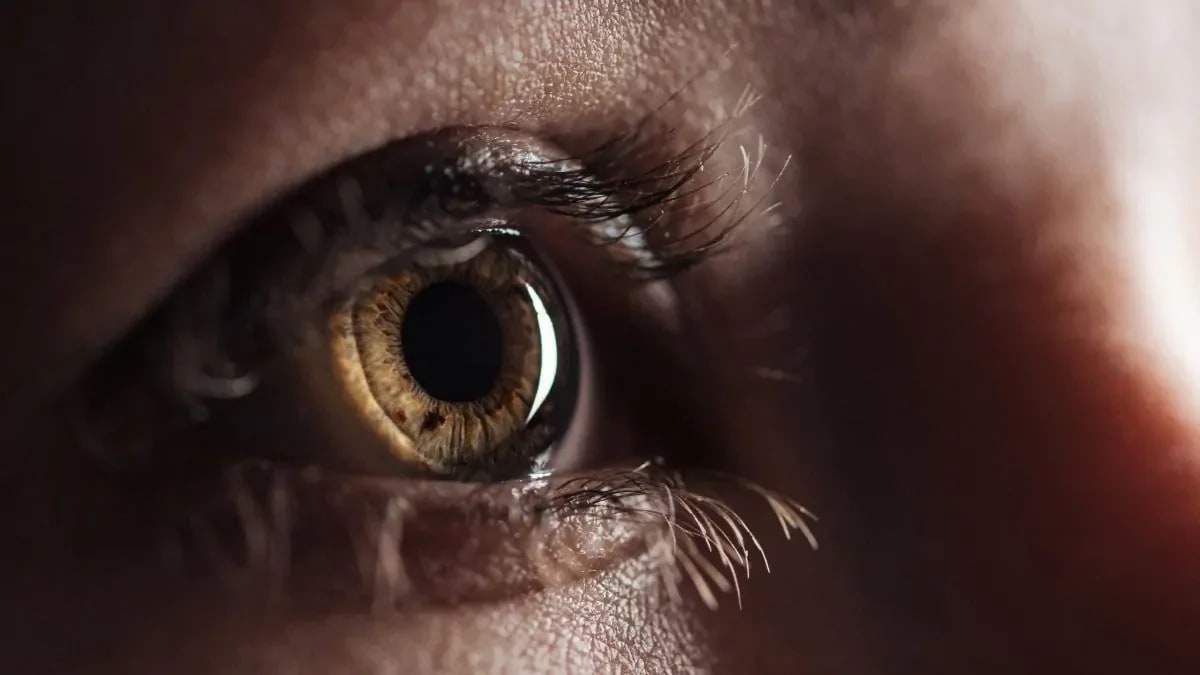 Sessão de terapia EMDR para tratamento de transtorno de estresse pós-traumático em consultório