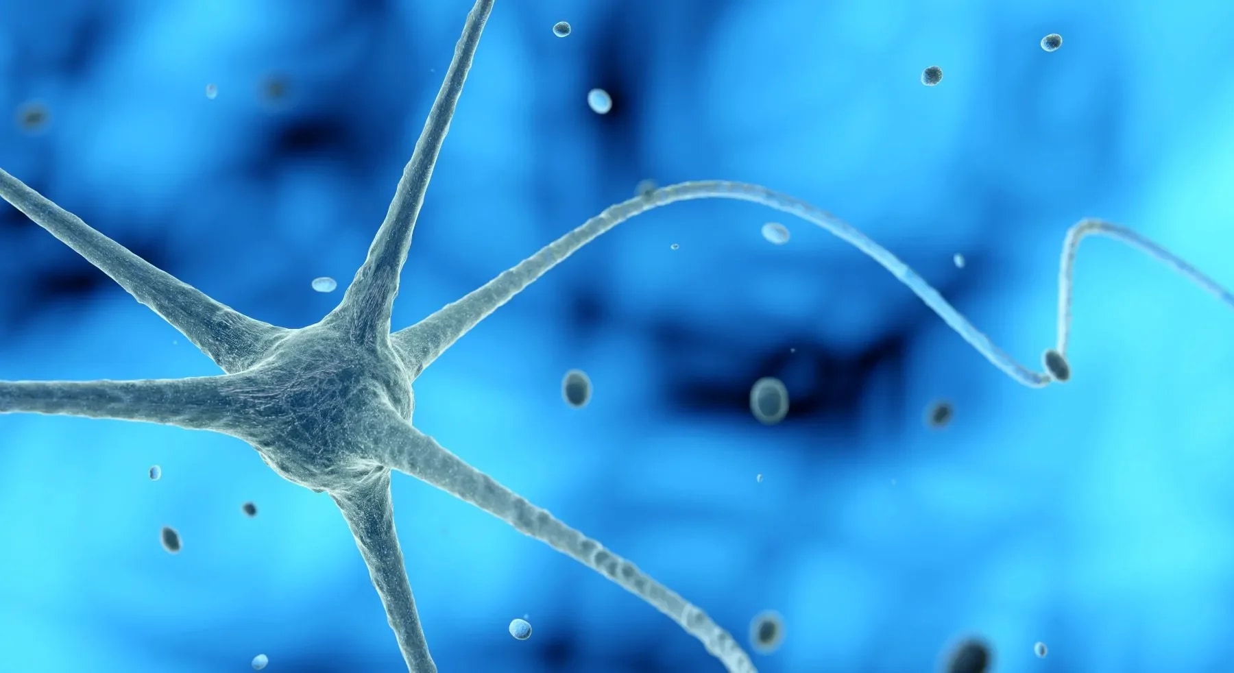 Laudo Neuropsicológico - Avaliação Neuropsicológica - Neurônio