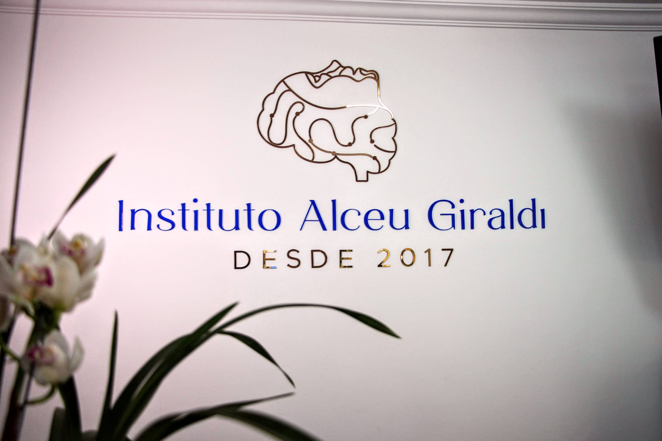 Instituto Alceu Giraldi Clínica Psiquiátrica Em São Caetano Do Sul 3776