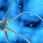 Para que serve o laudo neuropsicológico e como ele guia outros profissionais